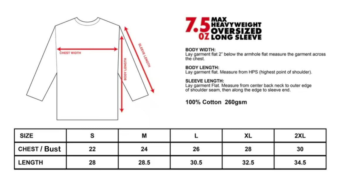 SEE WITHIN LIVE BEYOND LONG SLEEVE HEAVYWEIGHT T-SHIRT